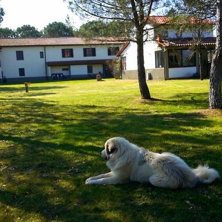 Artenatura Beb Terranuova Bracciolini Extérieur photo