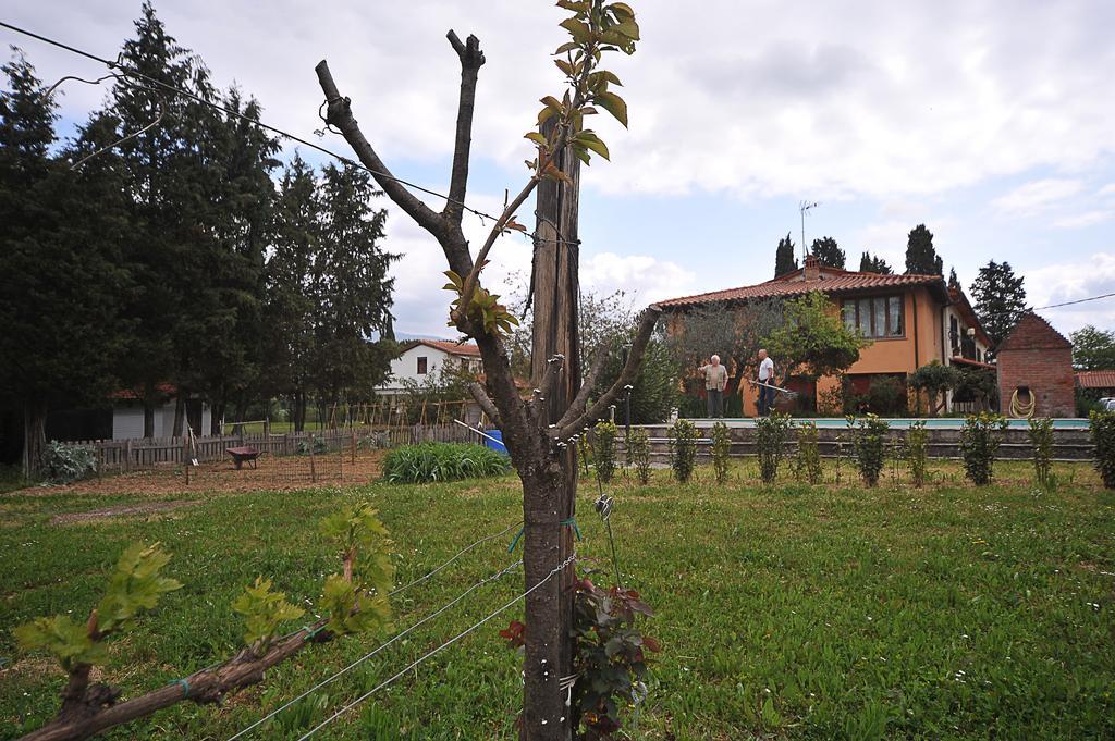Artenatura Beb Terranuova Bracciolini Extérieur photo