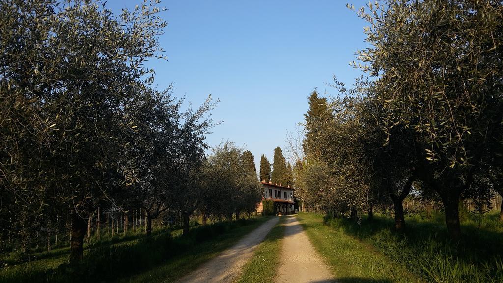 Artenatura Beb Terranuova Bracciolini Extérieur photo